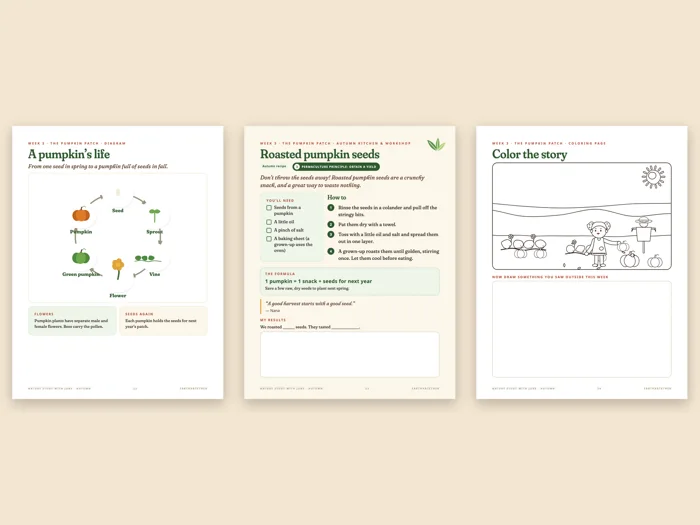 Three pages from an autumn nature study: a pumpkin life cycle diagram, a roasted pumpkin seeds recipe and a pumpkin patch coloring page