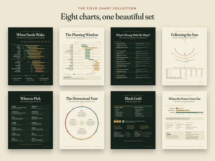Field Chart Collection (all 8), preview 2