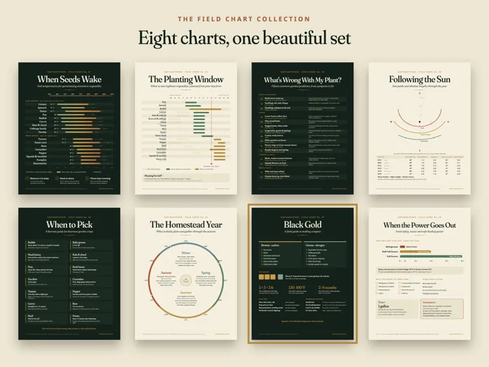 Compost Guide Chart, preview 5