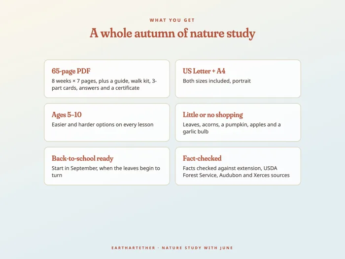 Nature Study with June: Autumn, preview 7