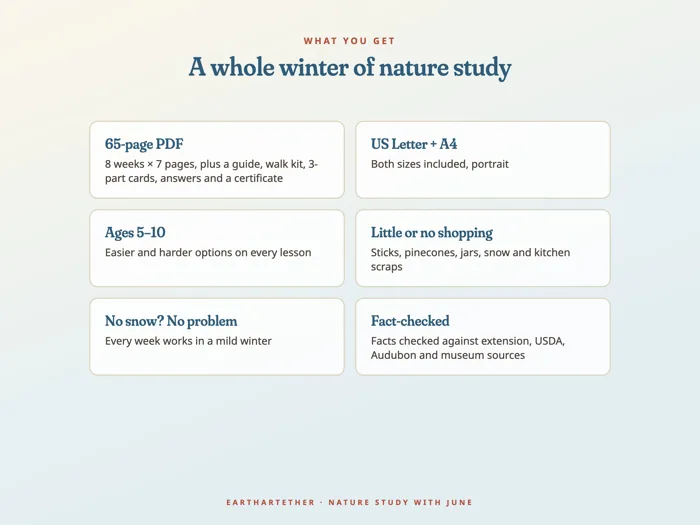 Nature Study with June: Winter, preview 7