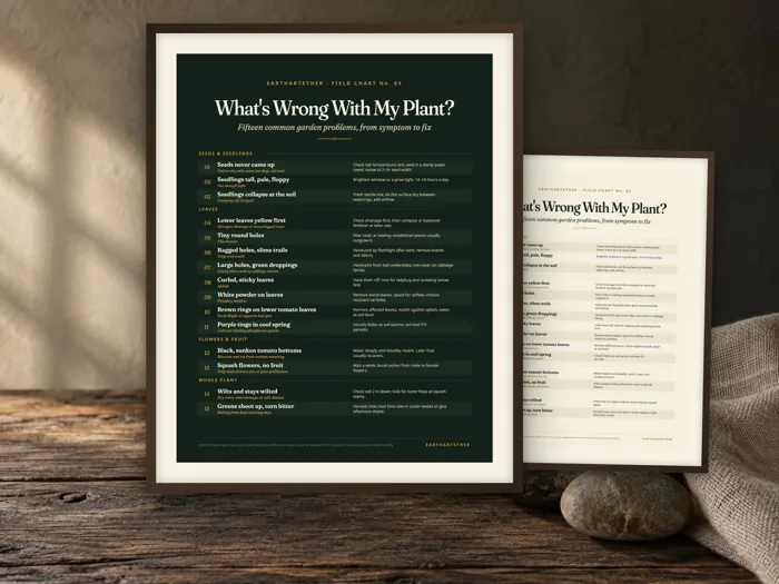 Plant Problem Diagnosis Chart, printable preview