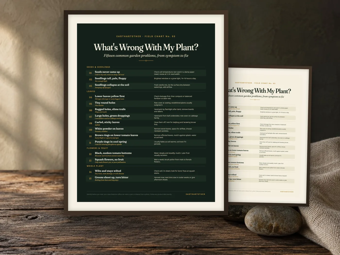 Plant Problem Diagnosis Chart: cover and pages