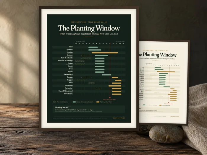 Planting Calendar by Frost Date, printable preview