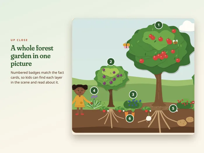The 7 Layers of a Food Forest Poster, preview 3