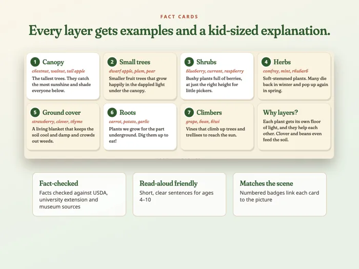 The 7 Layers of a Food Forest Poster, preview 4