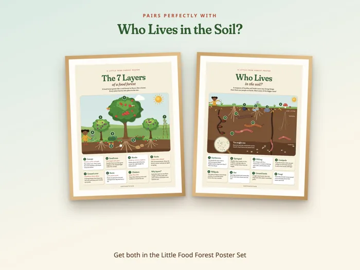The 7 Layers of a Food Forest Poster, preview 6