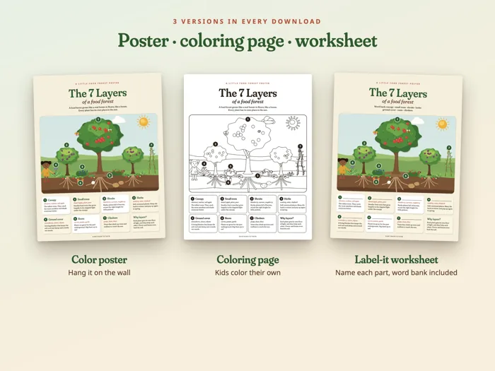 The 7 Layers of a Food Forest Poster, preview 2