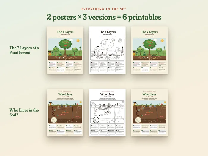 Little Food Forest Poster Set, preview 2