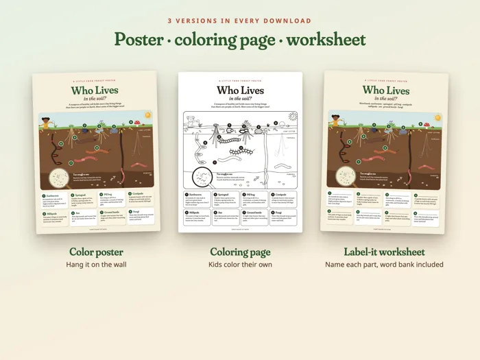 Little Food Forest Poster Set, preview 3