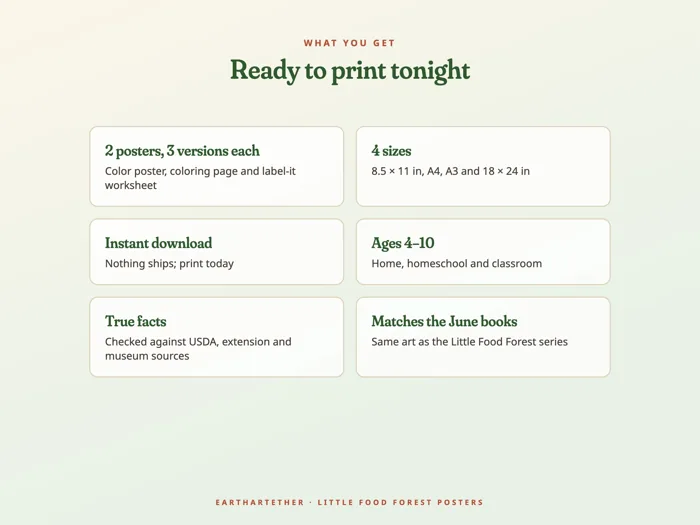 Little Food Forest Poster Set, preview 7