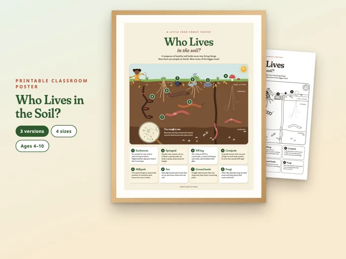 Who Lives in the Soil? Poster, printable preview