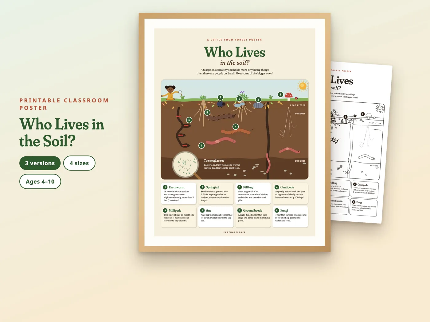 Who Lives in the Soil? Poster: cover and pages