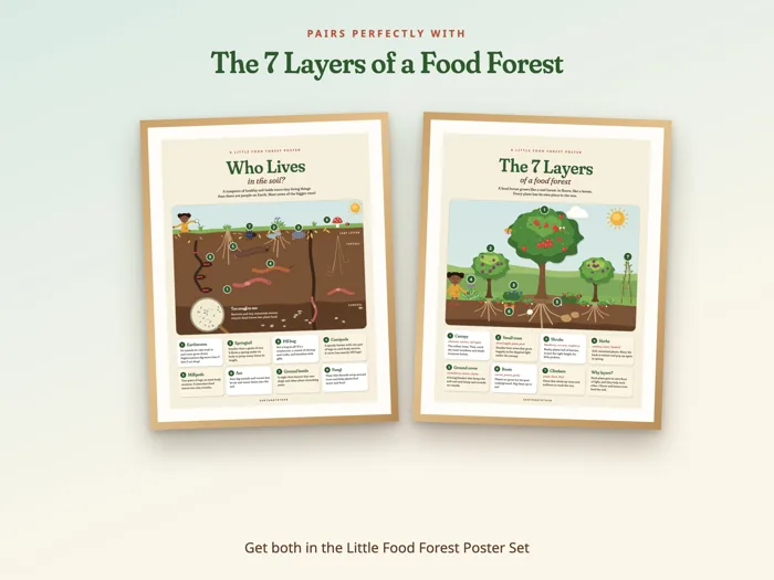 Who Lives in the Soil? Poster, preview 6