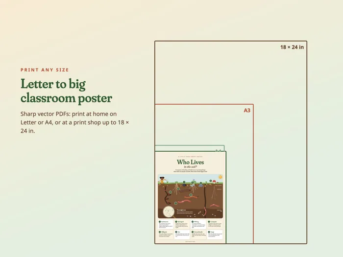 Who Lives in the Soil? Poster, preview 5