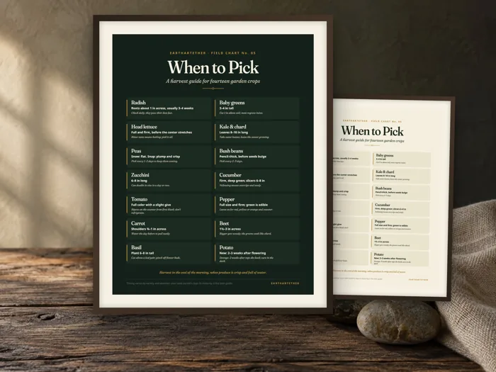 Vegetable Harvest Guide, printable preview
