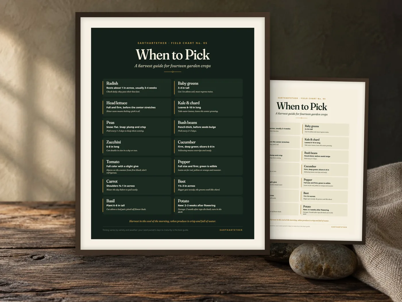 Vegetable Harvest Guide: cover and pages